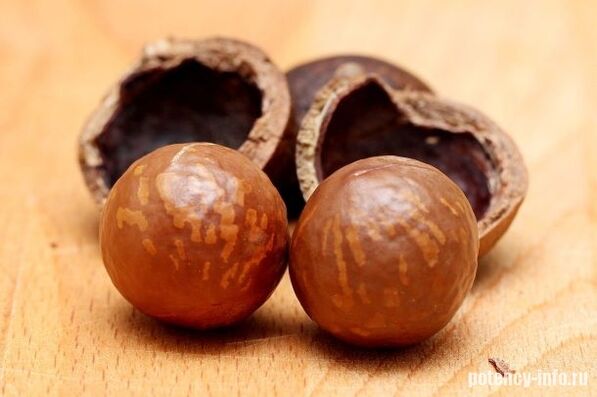 Macadamia para a potencia